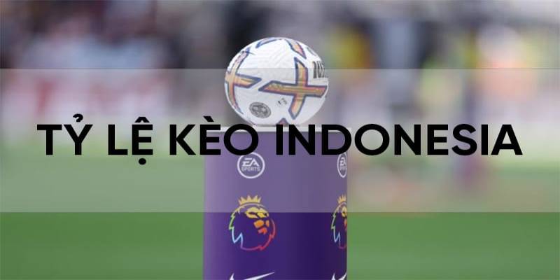Cách thức tính tiền trong tỷ lệ kèo Indonesia là gì?