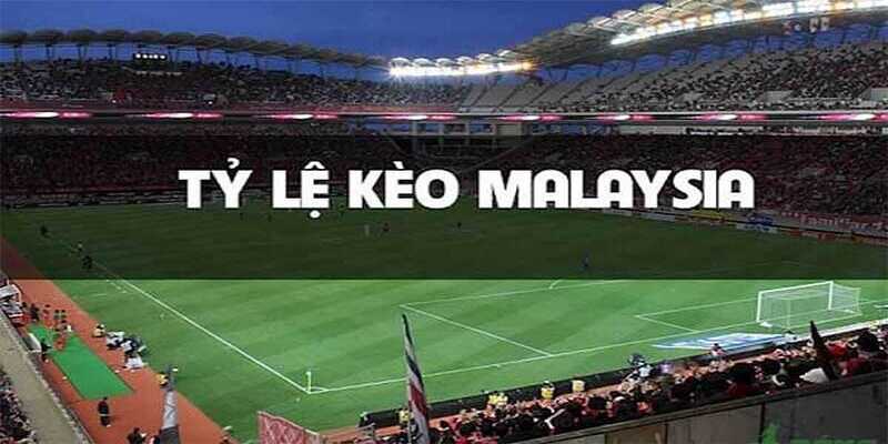 Cách tính tỷ lệ kèo Malaysia cơ bản cho tân thủ