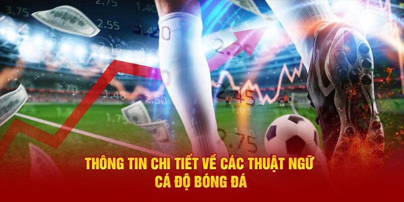Điểm qua các thuật ngữ cá độ bóng đá cơ bản nhất