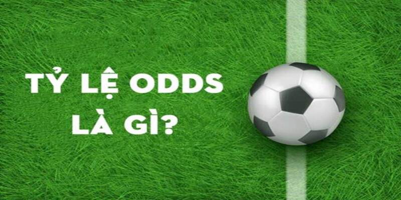 Một vài loại odds được dùng phổ biến trong cá cược