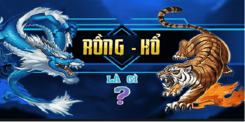 Rồng hổ For88 là gì?